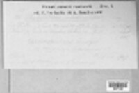 Image Associated With the Occurence